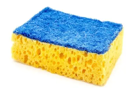 Sponges